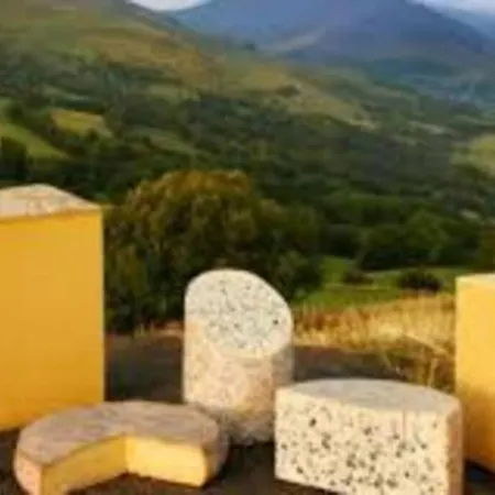 Joli à Murat Proche Du Lioran Cantal Appartement